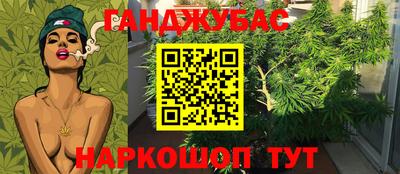 крисы Ирбит