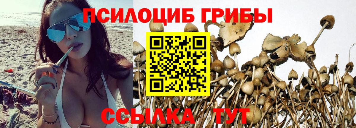Псилоцибиновые грибы MAGIC MUSHROOMS  Вход с VPN  Галлюциногенные грибы прущие грибы  дарнет шоп  Михайловка 
