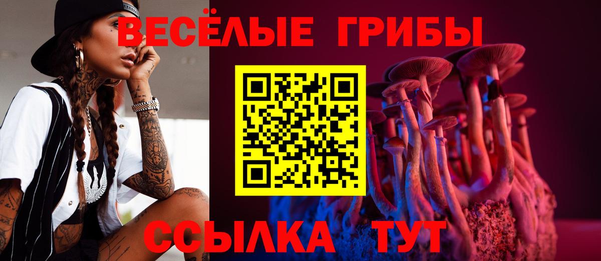 Галлюциногенные грибы мицелий Михайловка